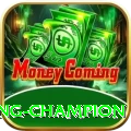 Big Winner Game - Gaming Champion