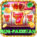 Fortune Mint Game Premium Pakistan